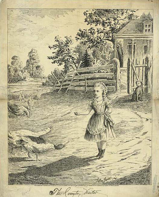 The Country Visitor